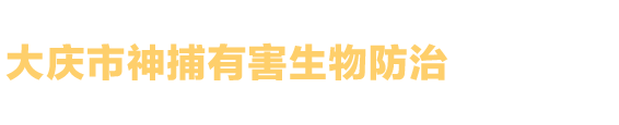 䓽YƸW
